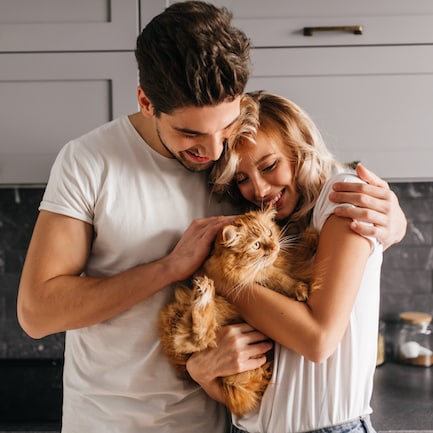 Sarvey Insurance/ pet insurance